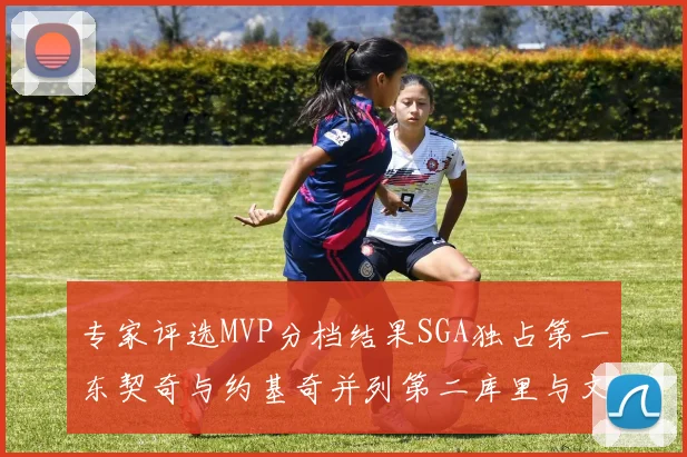 专家评选MVP分档结果SGA独占第一东契奇与约基奇并列第二库里与文班位列第四