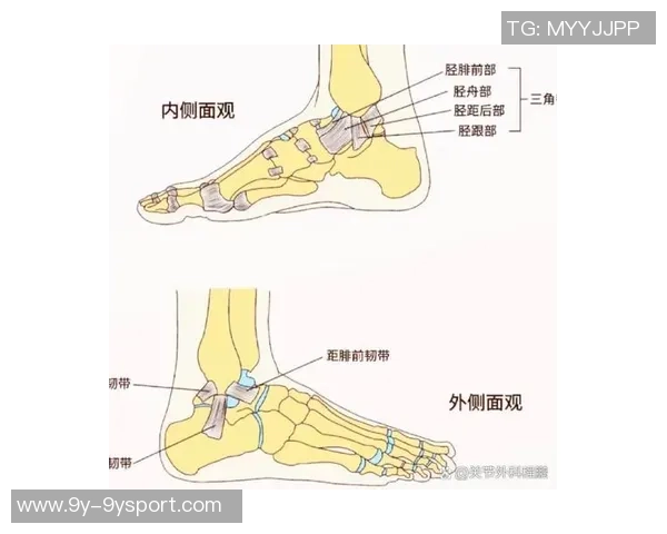 弗兰克谈小卡伤情揭示脚踝问题背后的复杂性与脚部损伤情况